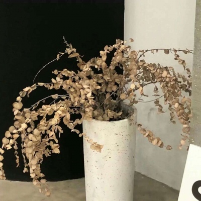 陇县FurryQQ群介绍